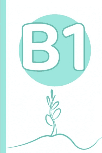 B1 Level Wordlist